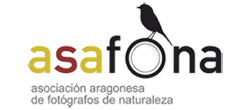 ASAFONA Asociación Aragonesa de Fotógrafos de Naturaleza
